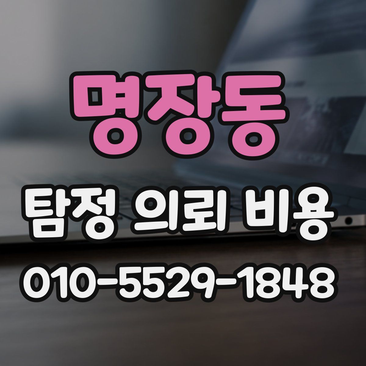 명장동 탐정 의뢰 비용
