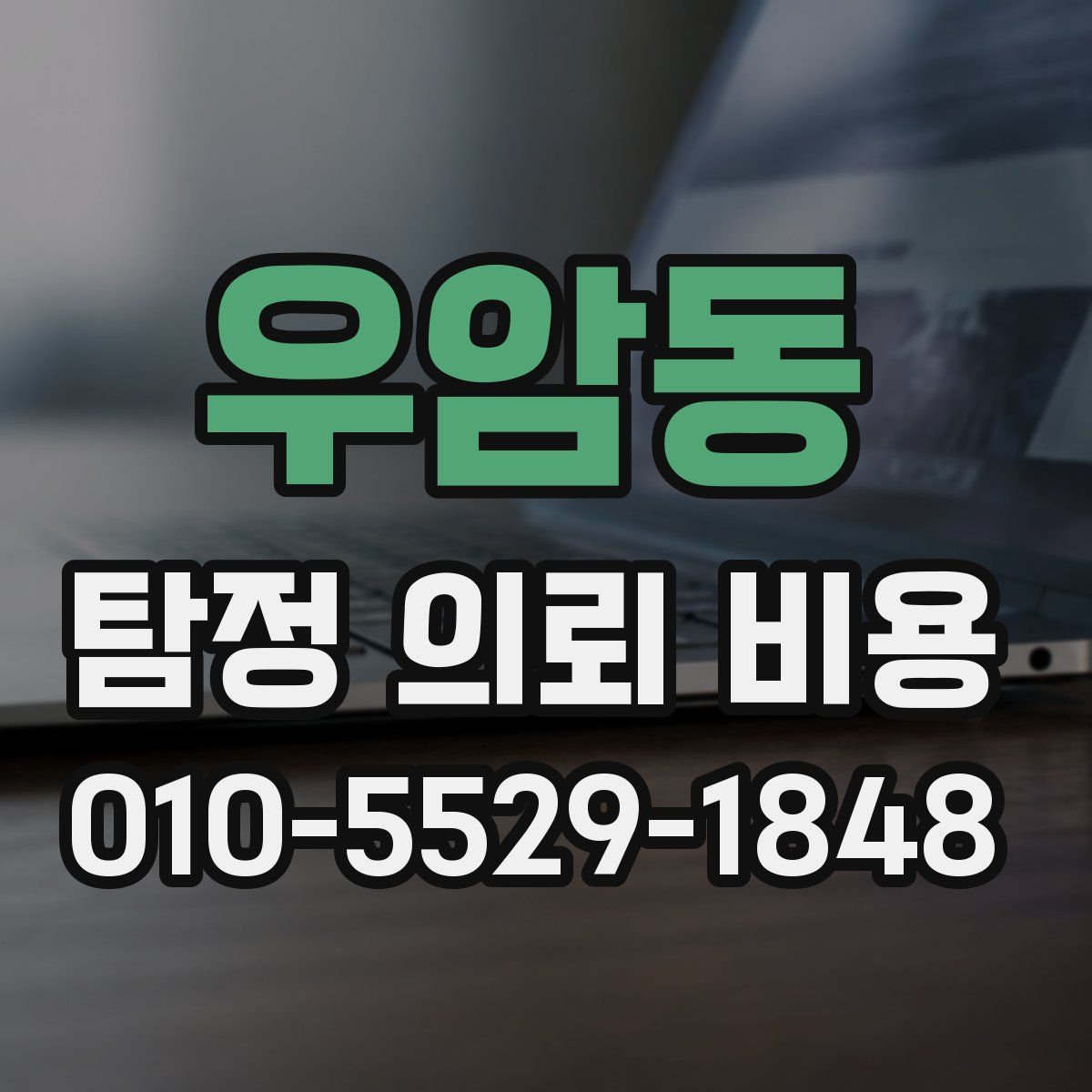 우암동 탐정 의뢰 비용