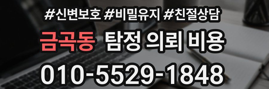 금곡동 탐정 의뢰 비용