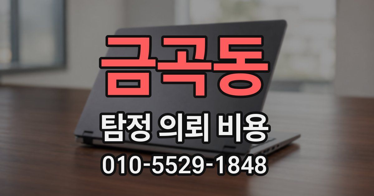 금곡동 탐정 의뢰 비용