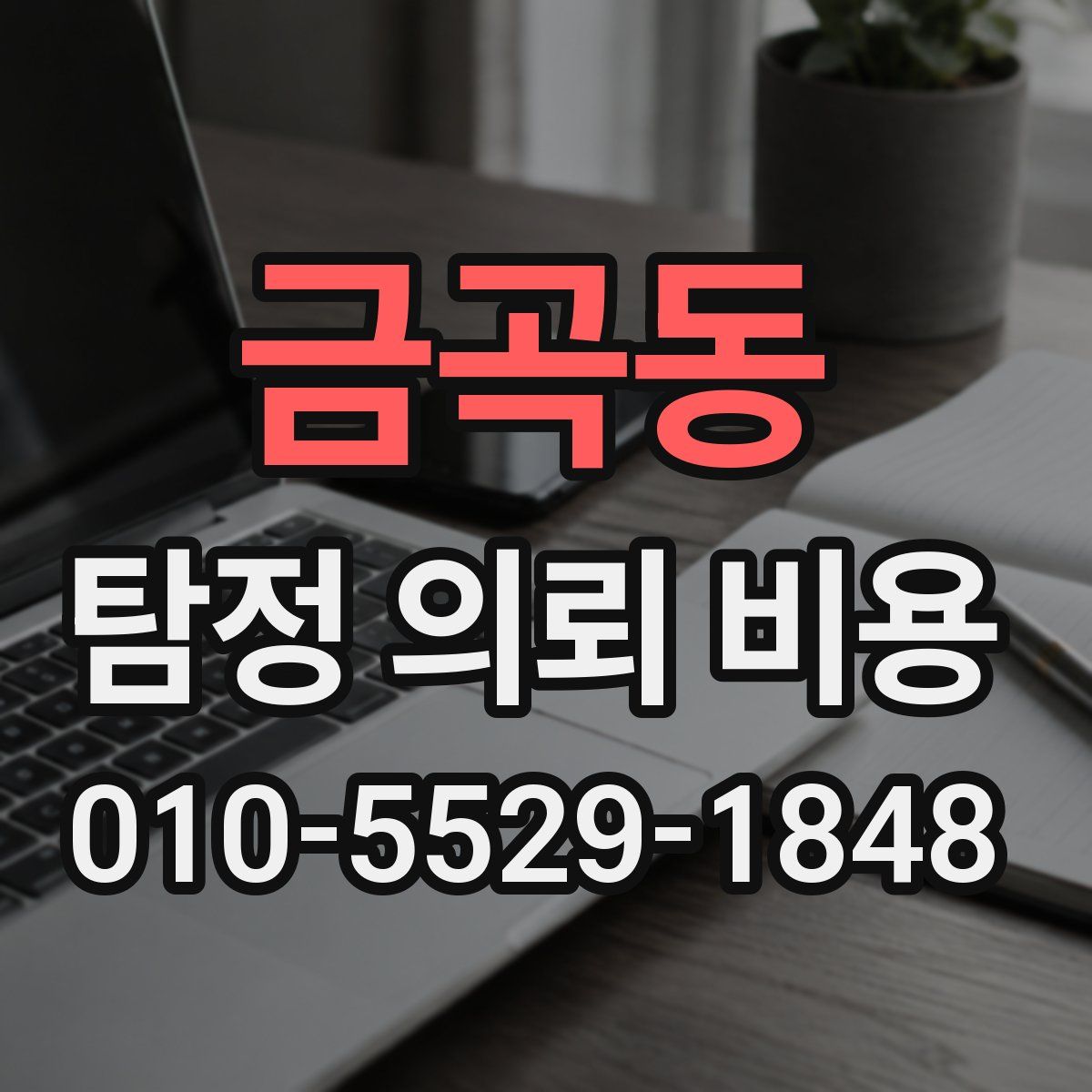 금곡동 탐정 의뢰 비용