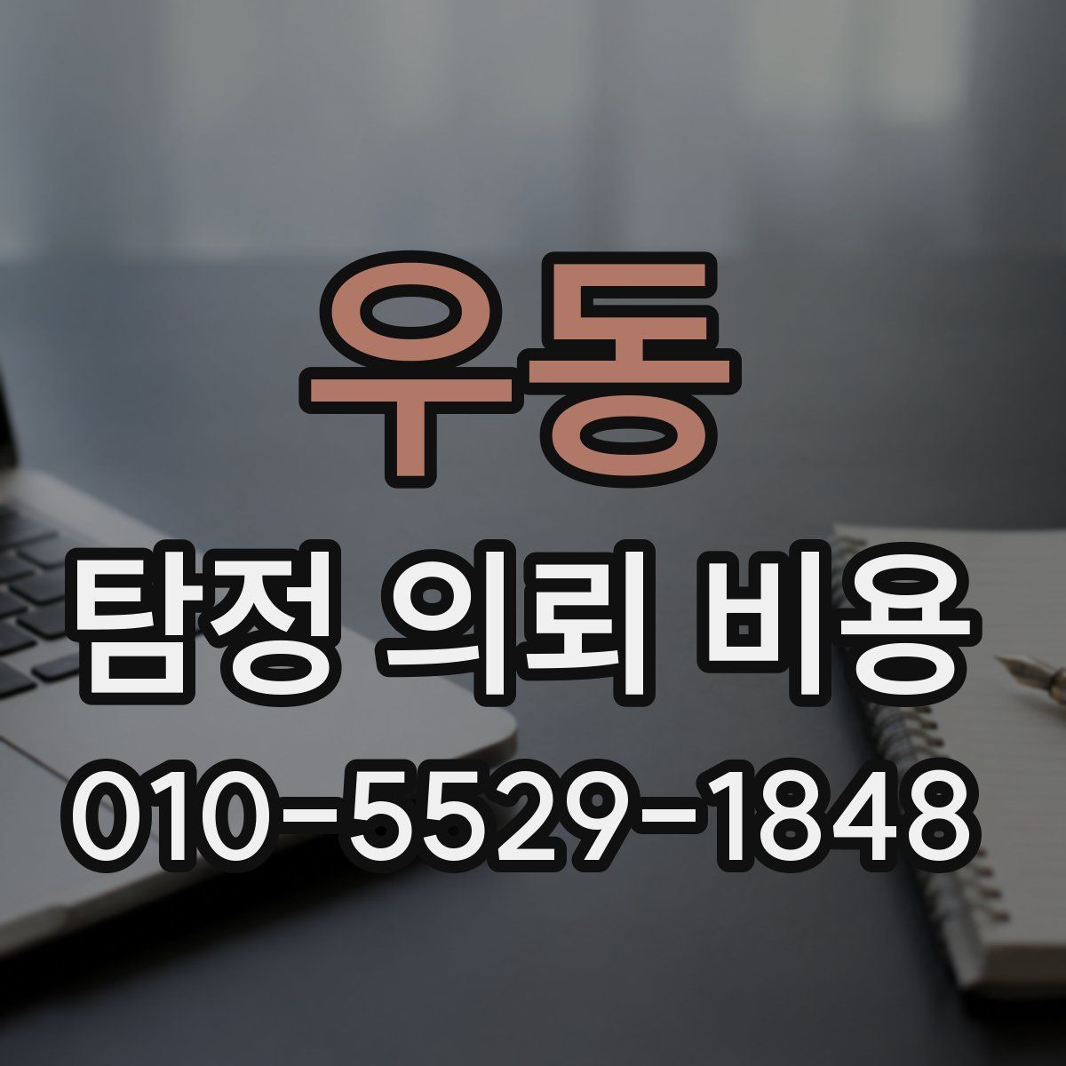 우동 탐정 의뢰 비용