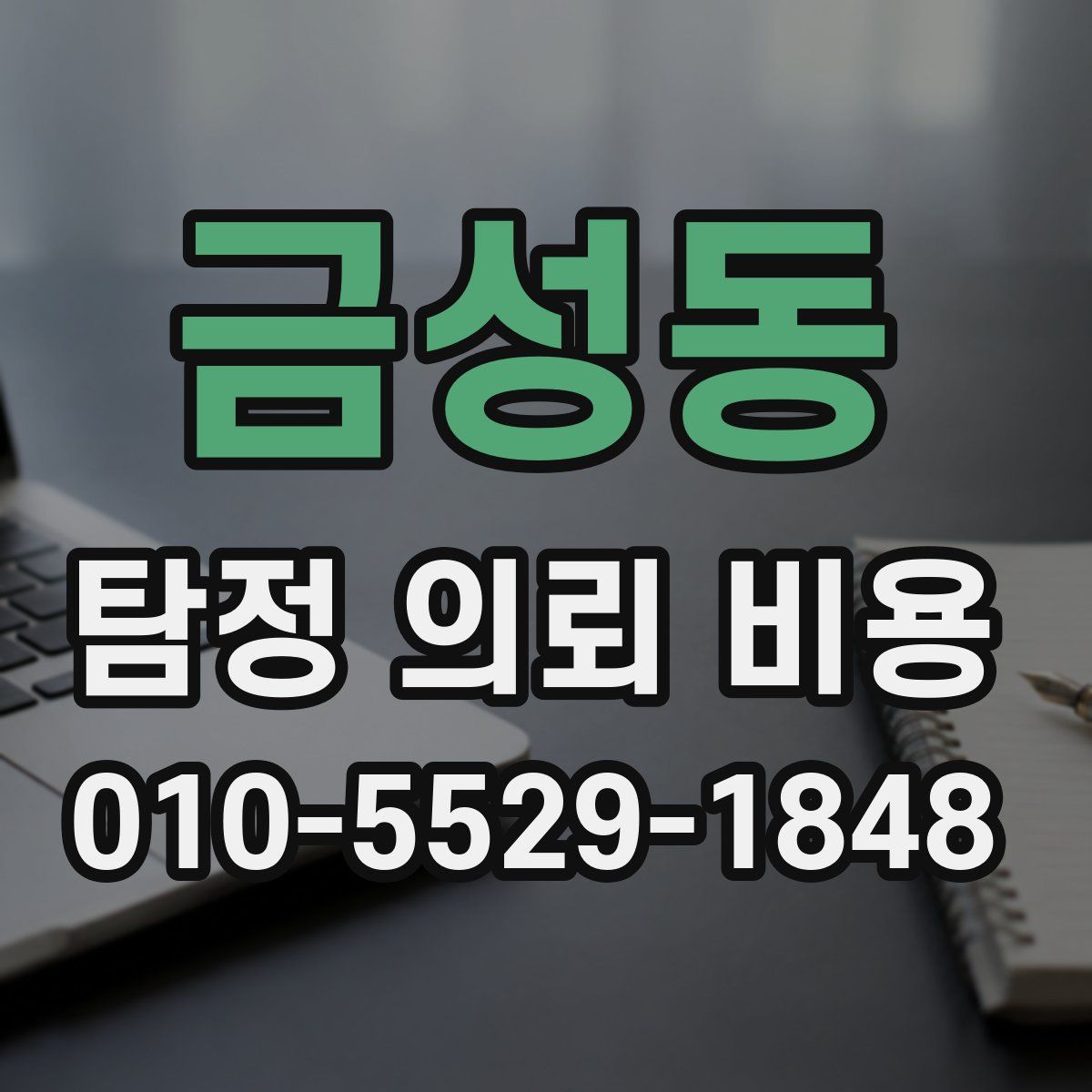 금성동 탐정 의뢰 비용