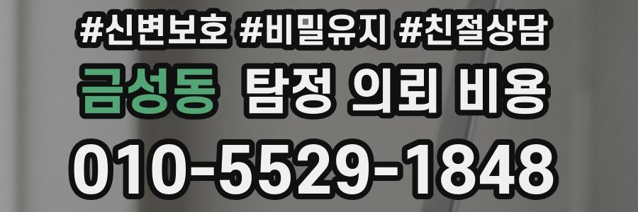 금성동 탐정 의뢰 비용