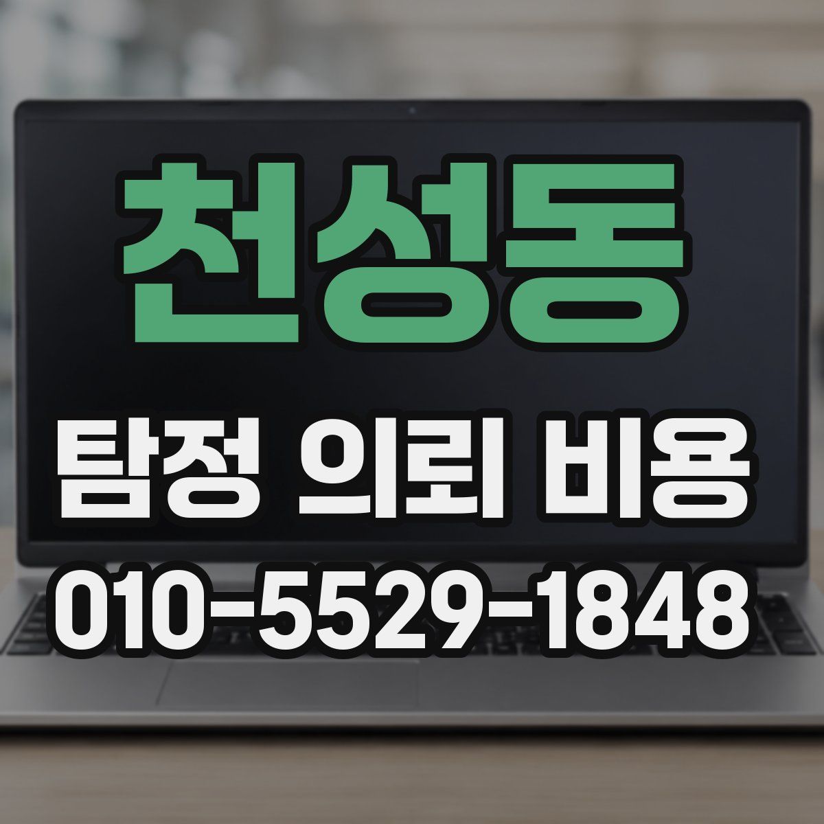 천성동 탐정 의뢰 비용
