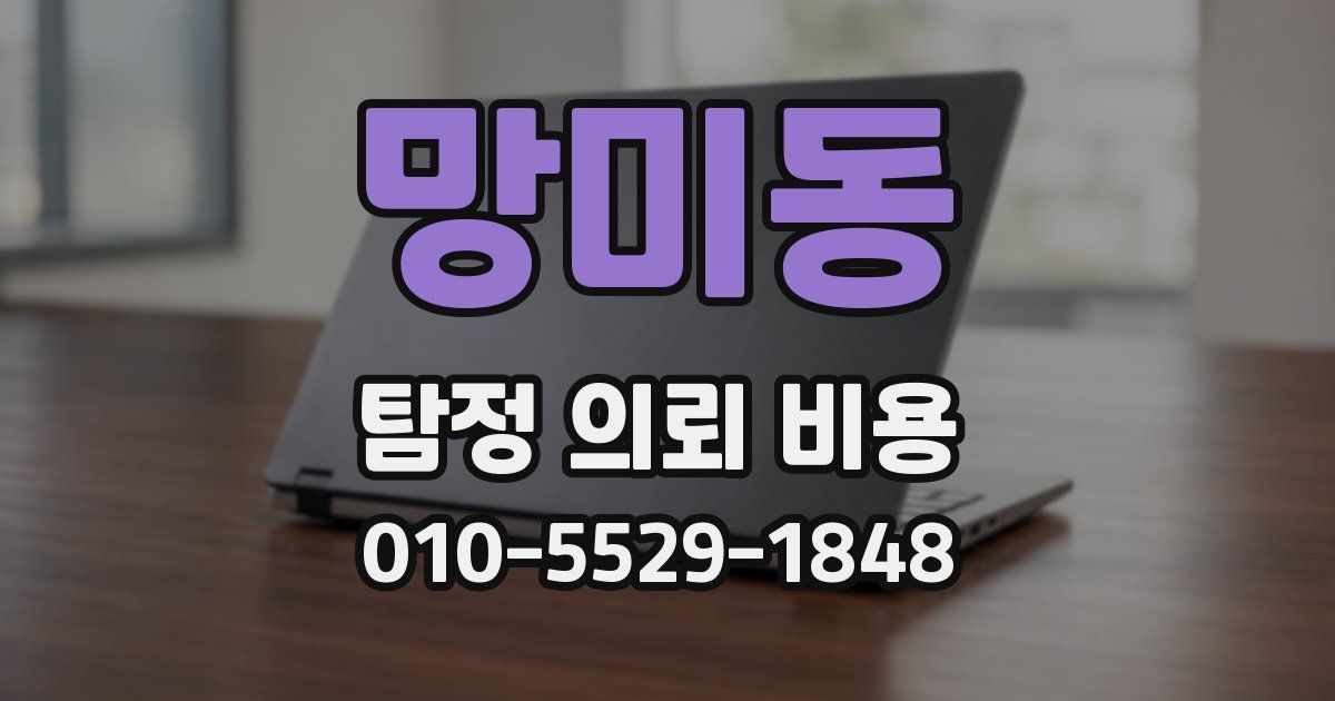 망미동 탐정 의뢰 비용