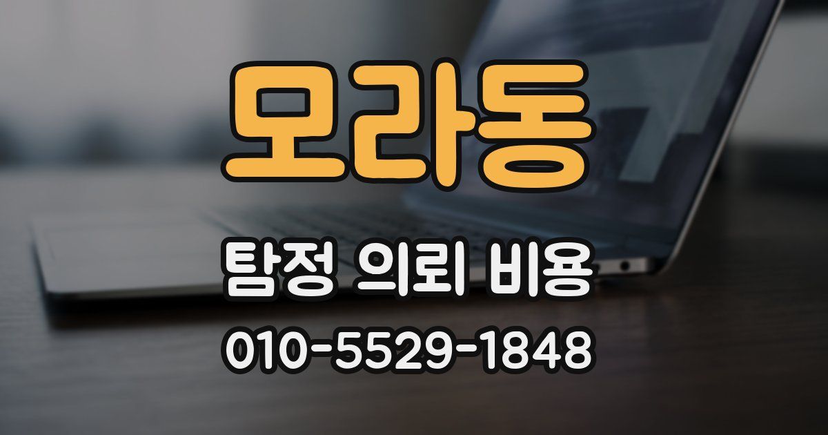 모라동 탐정 의뢰 비용