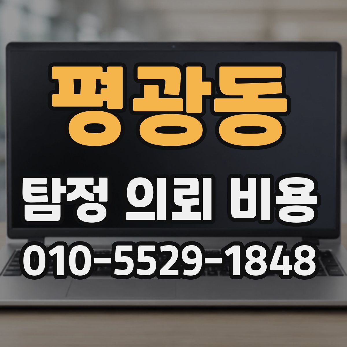 평광동 탐정 의뢰 비용