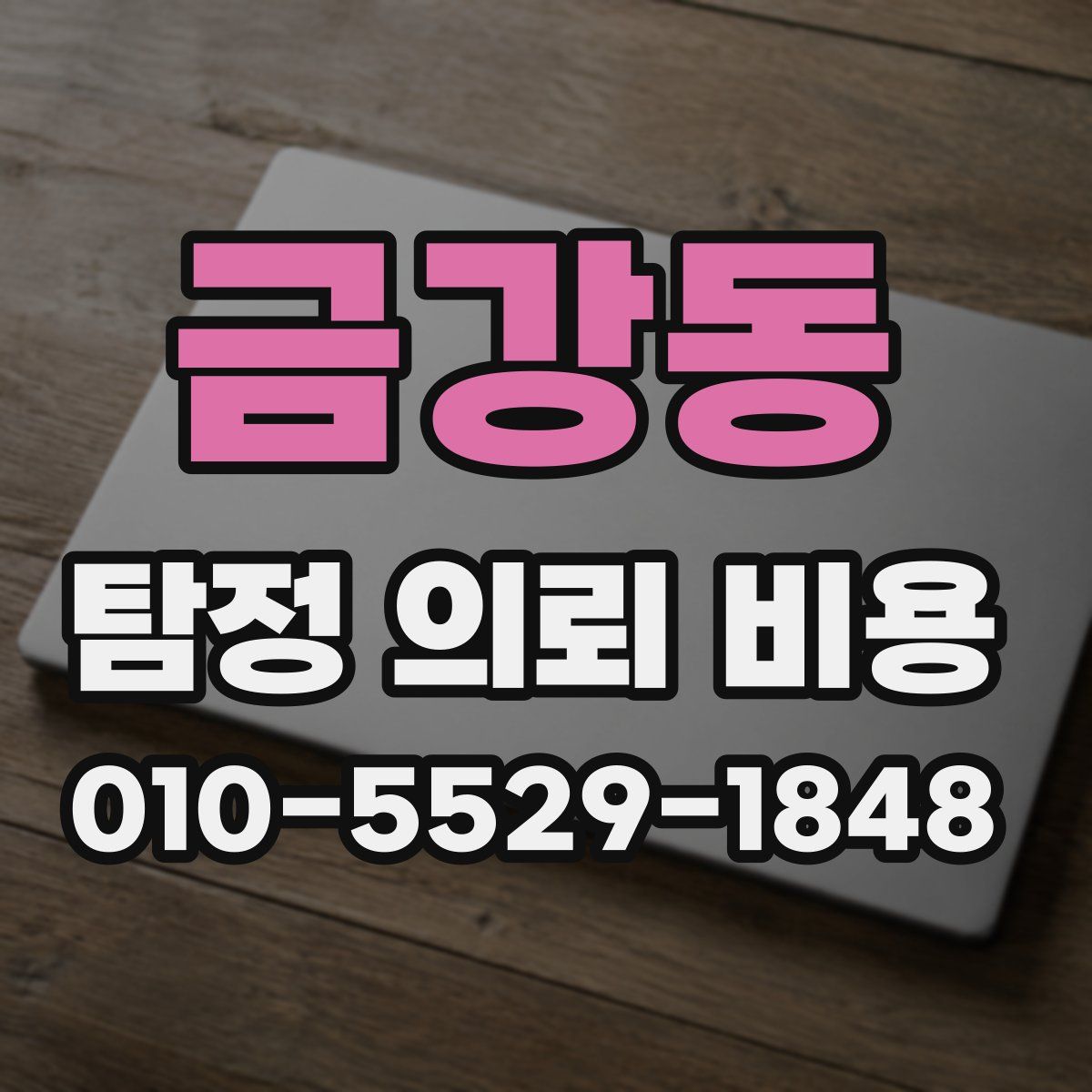 금강동 탐정 의뢰 비용