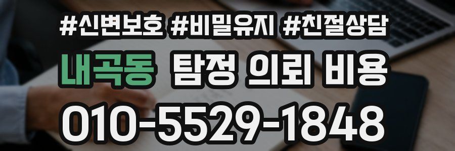 내곡동 탐정 의뢰 비용