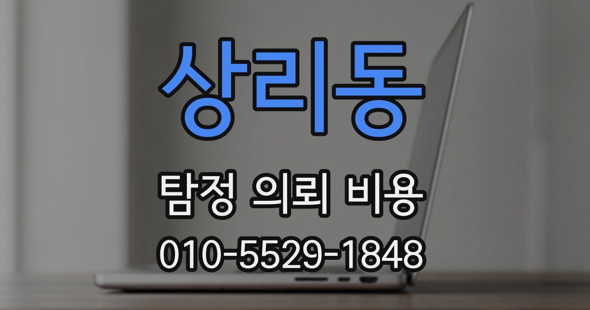 상리동 탐정 의뢰 비용