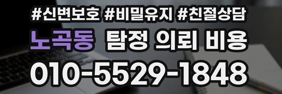 노곡동 탐정 의뢰 비용