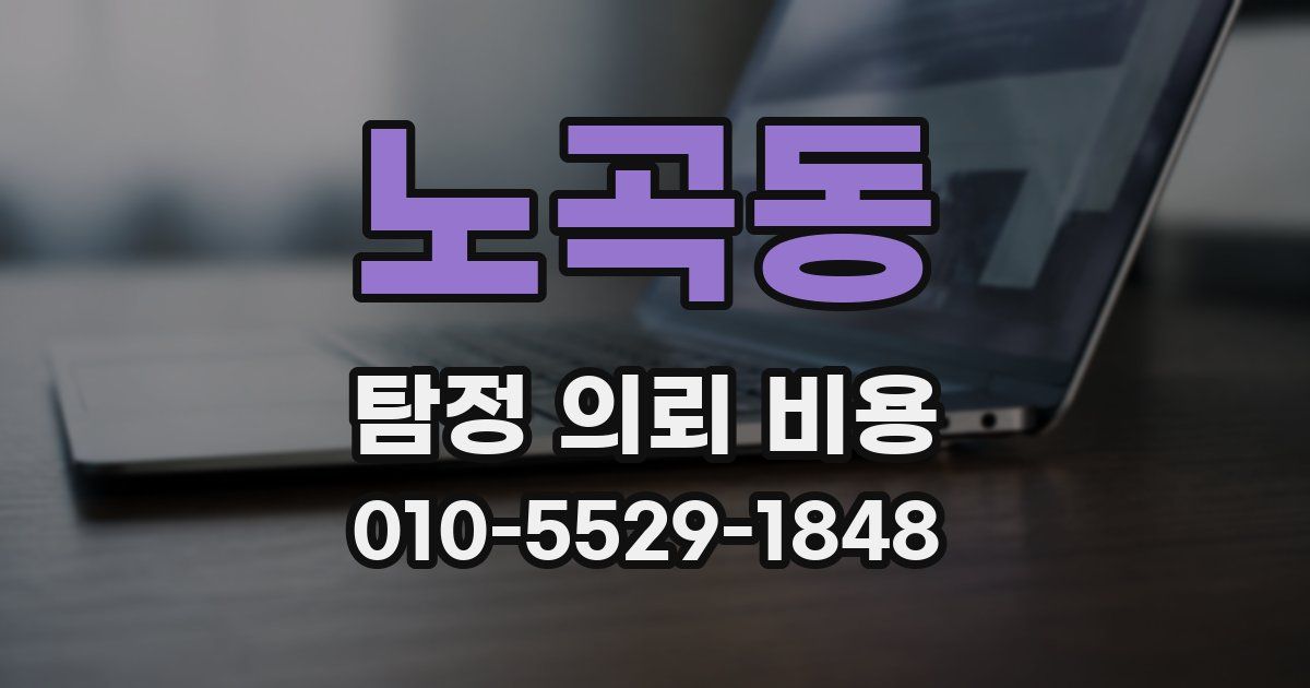 노곡동 탐정 의뢰 비용