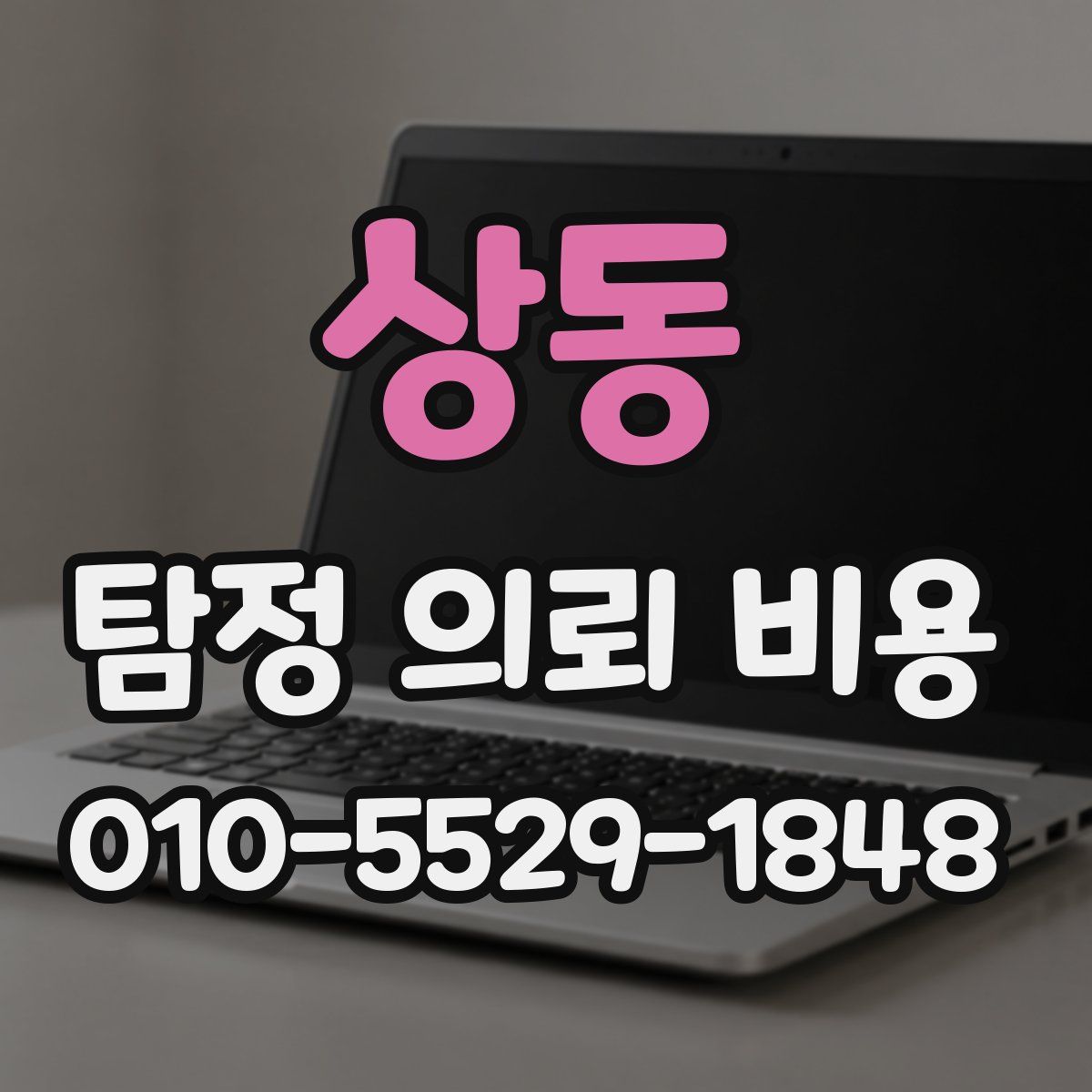 상동 탐정 의뢰 비용