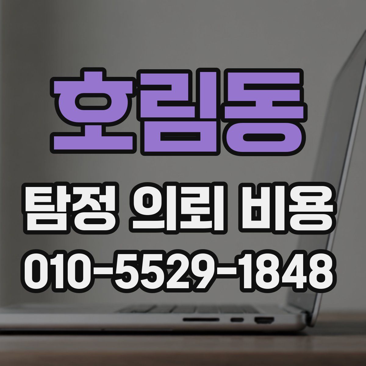호림동 탐정 의뢰 비용