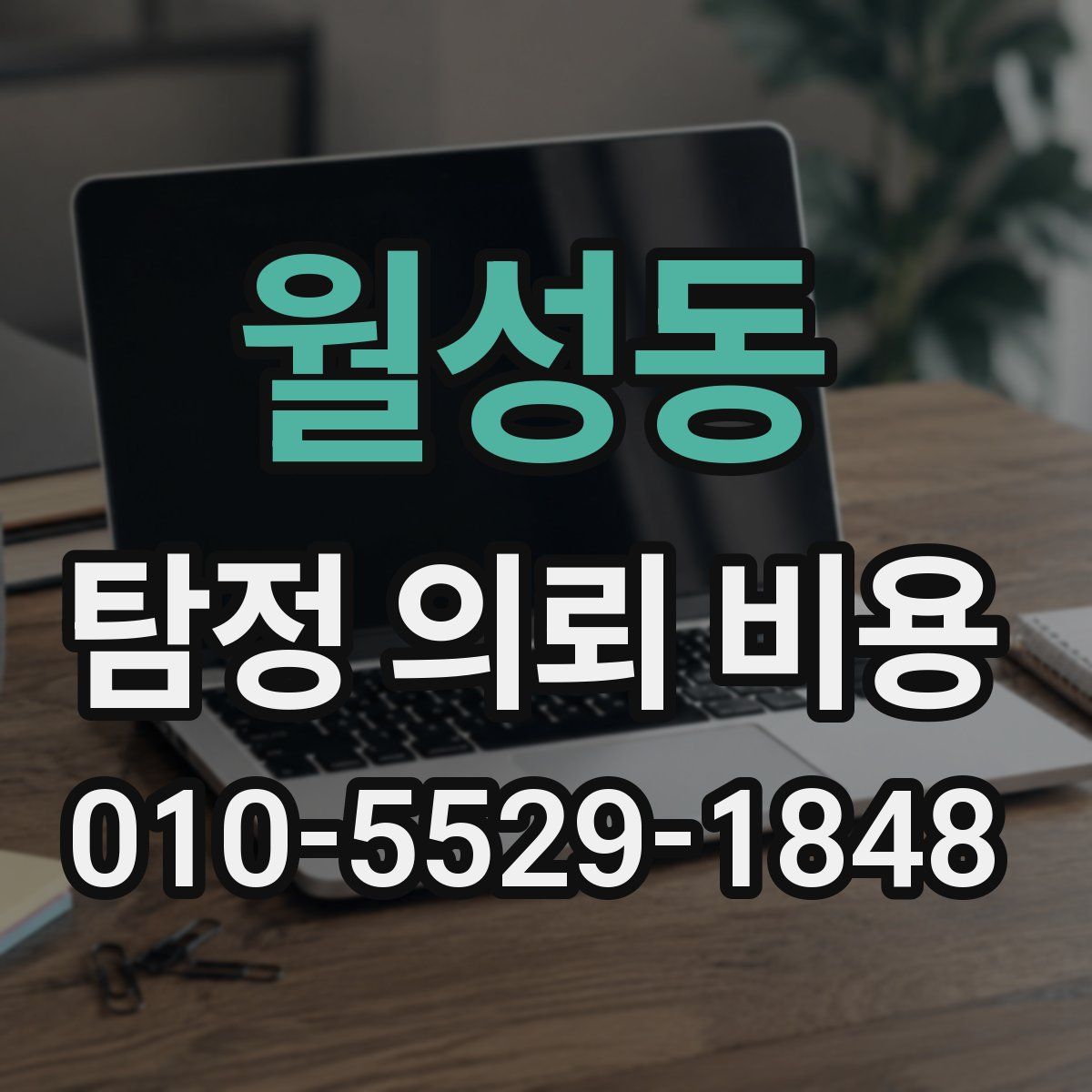 월성동 탐정 의뢰 비용