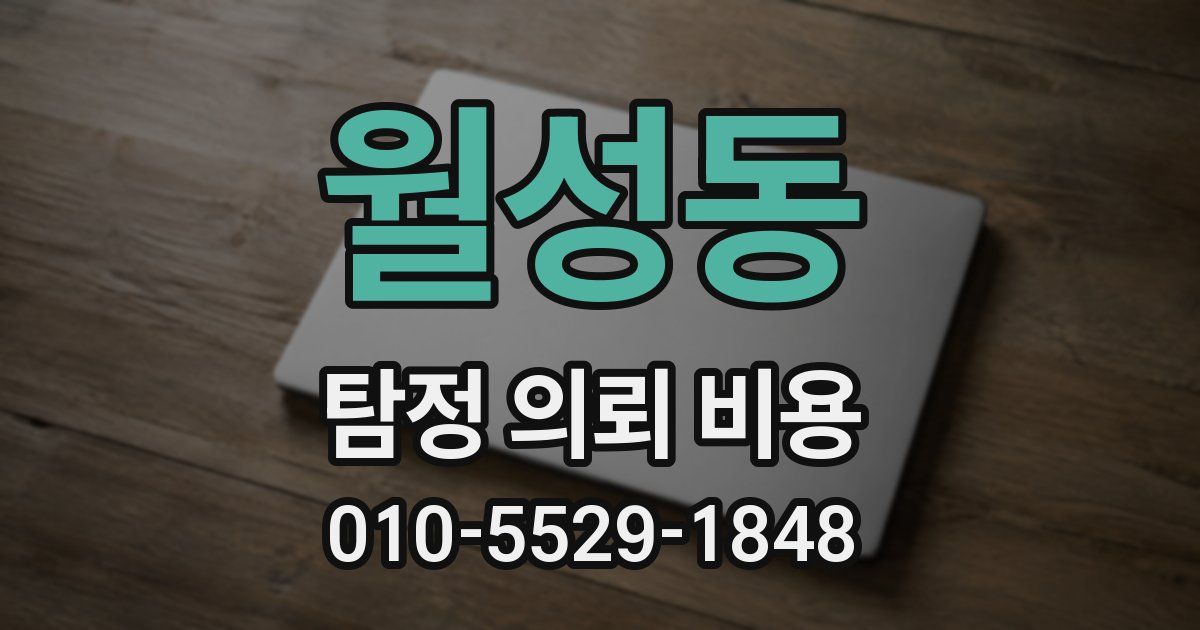 월성동 탐정 의뢰 비용