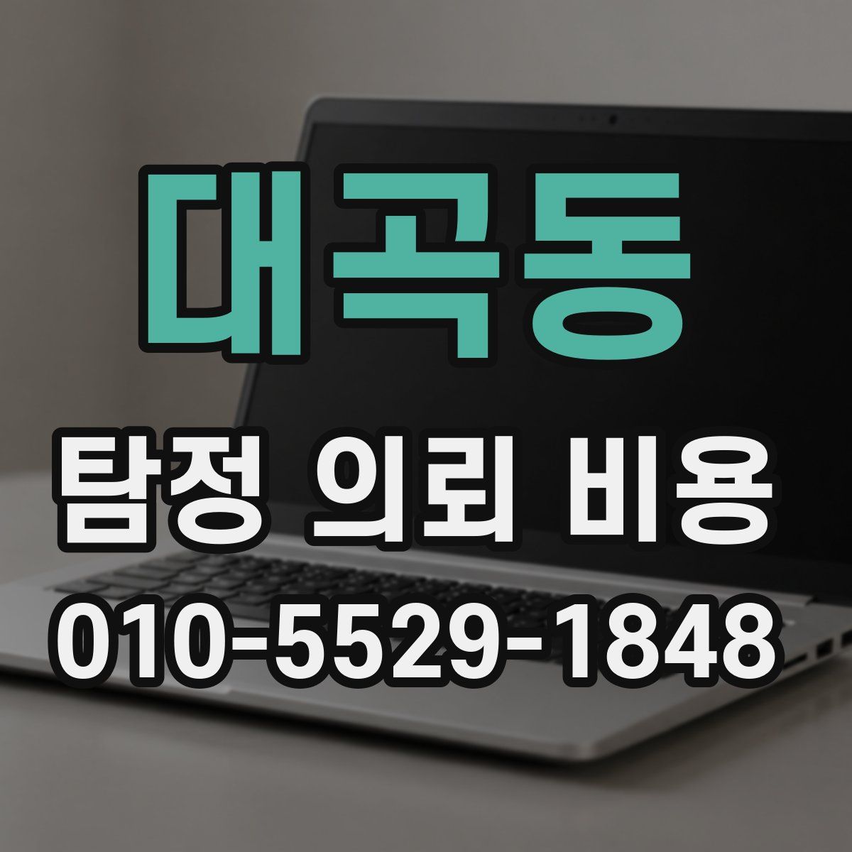 대곡동 탐정 의뢰 비용