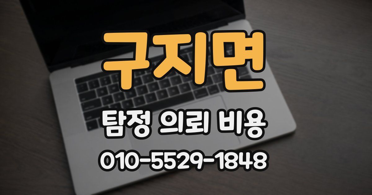 구지면 탐정 의뢰 비용