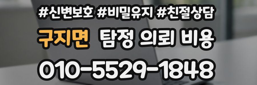 구지면 탐정 의뢰 비용