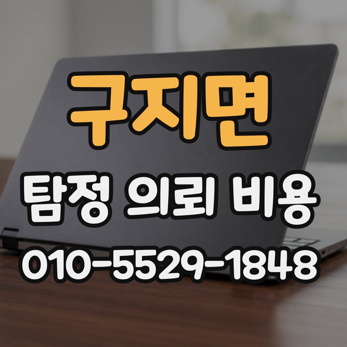 구지면 탐정 의뢰 비용