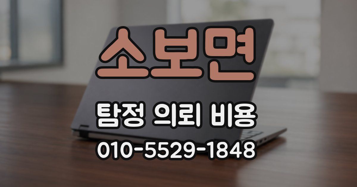 소보면 탐정 의뢰 비용