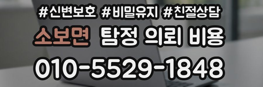 소보면 탐정 의뢰 비용
