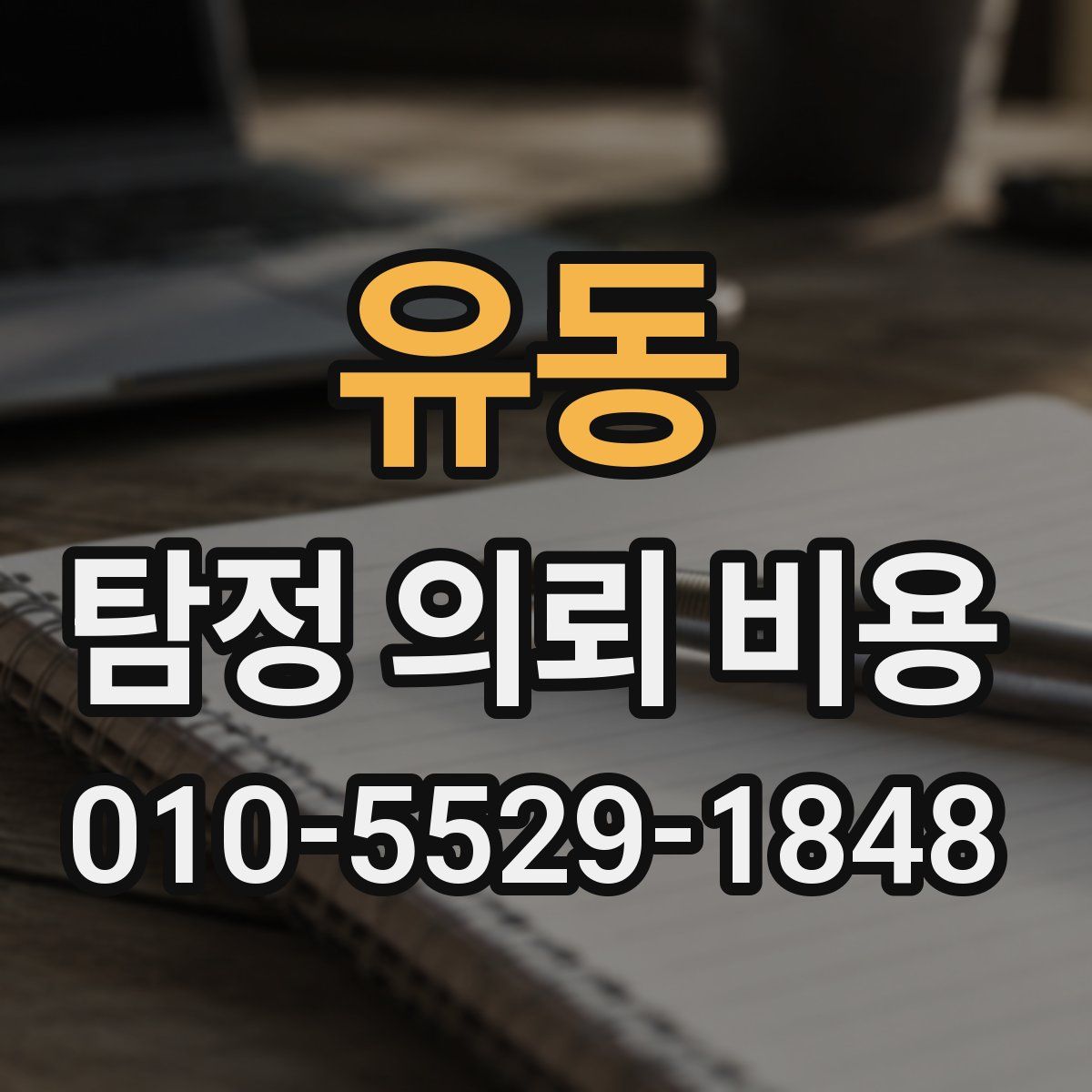 유동 탐정 의뢰 비용