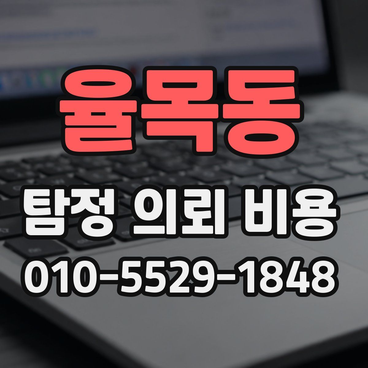 율목동 탐정 의뢰 비용