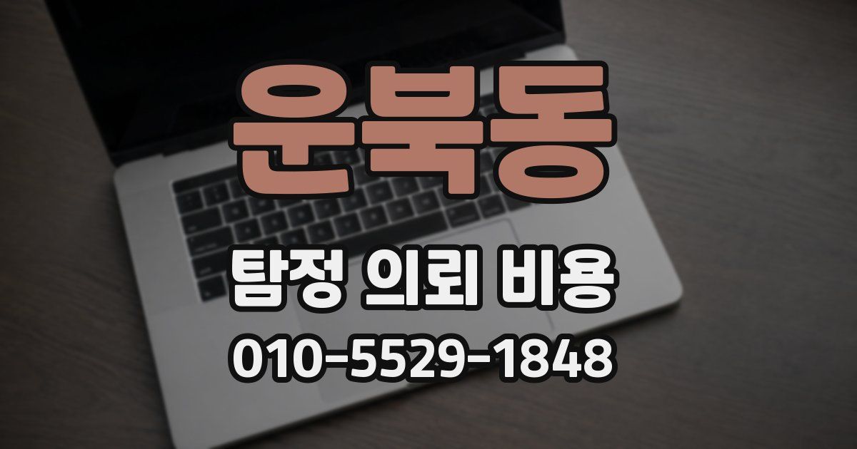 운북동 탐정 의뢰 비용
