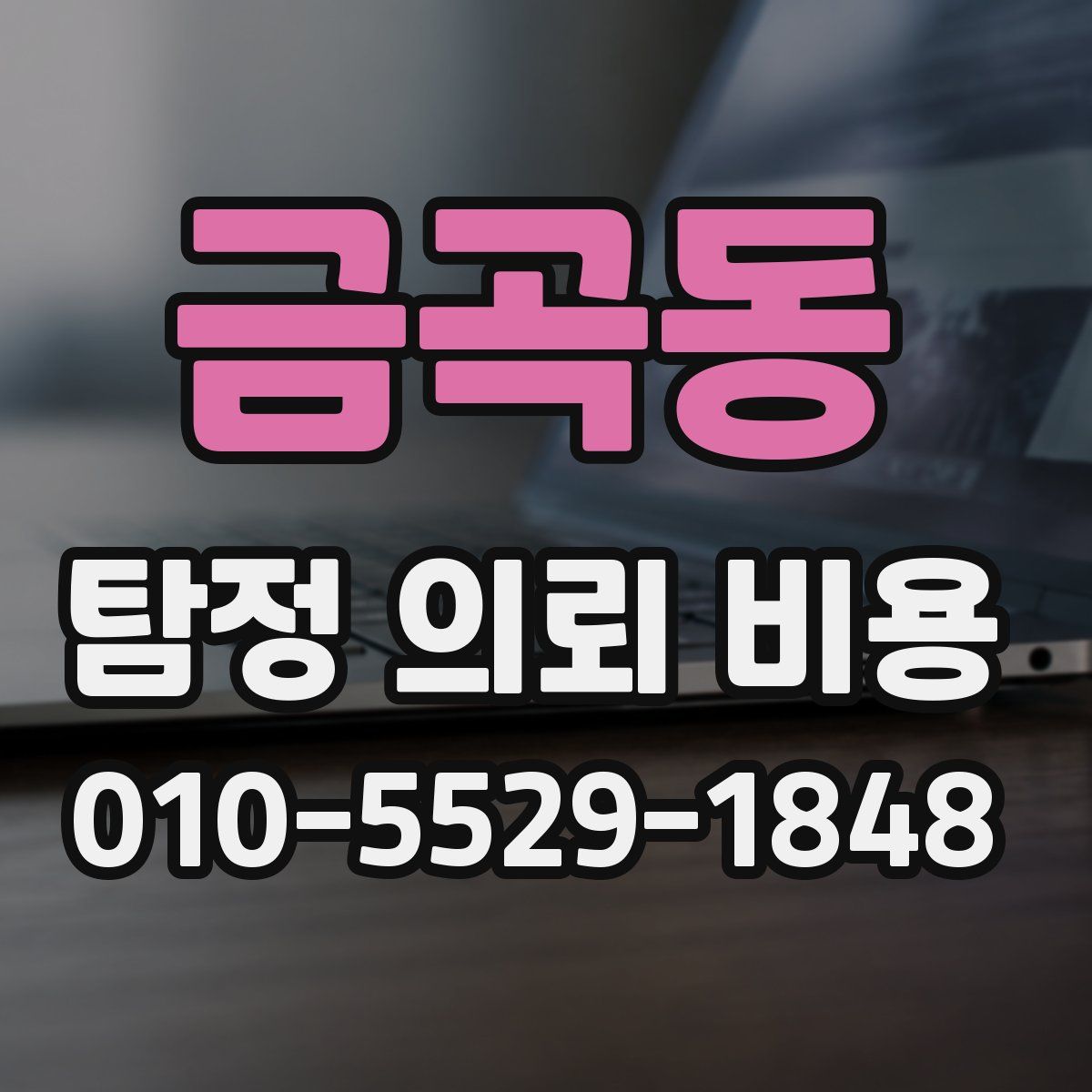 금곡동 탐정 의뢰 비용