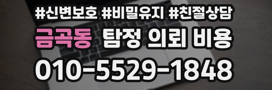 금곡동 탐정 의뢰 비용