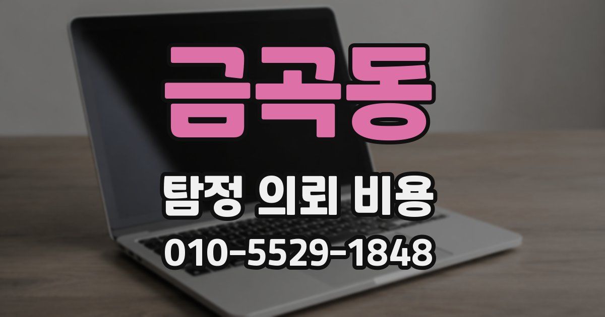 금곡동 탐정 의뢰 비용