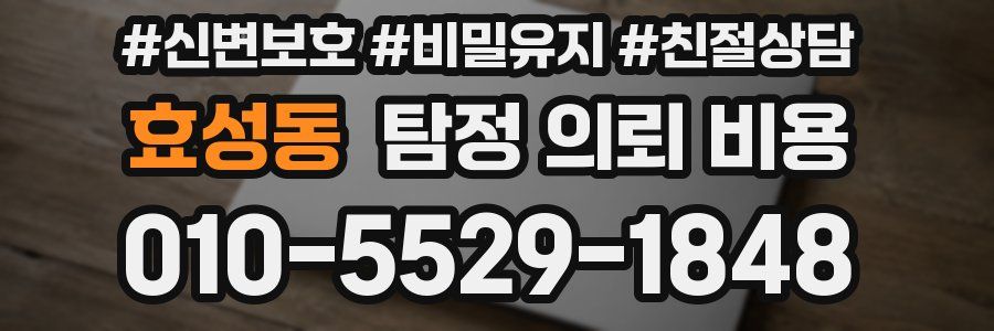효성동 탐정 의뢰 비용