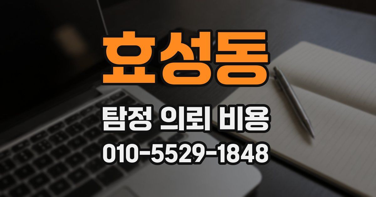 효성동 탐정 의뢰 비용