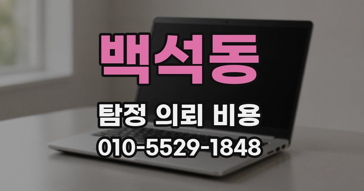 백석동 탐정 의뢰 비용