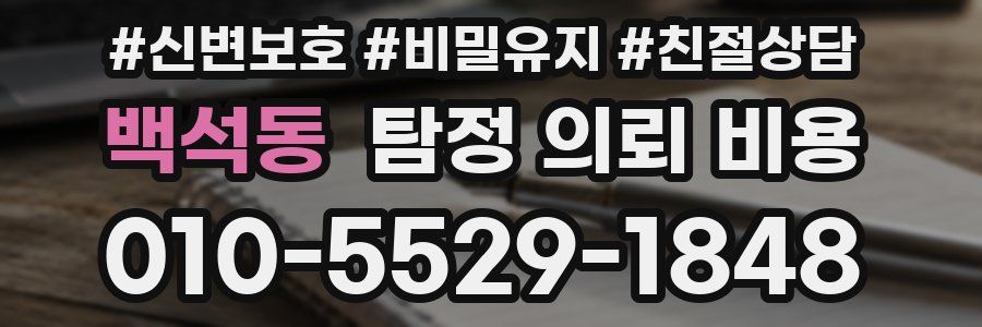 백석동 탐정 의뢰 비용