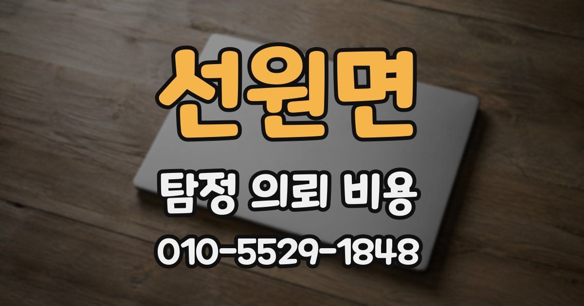선원면 탐정 의뢰 비용