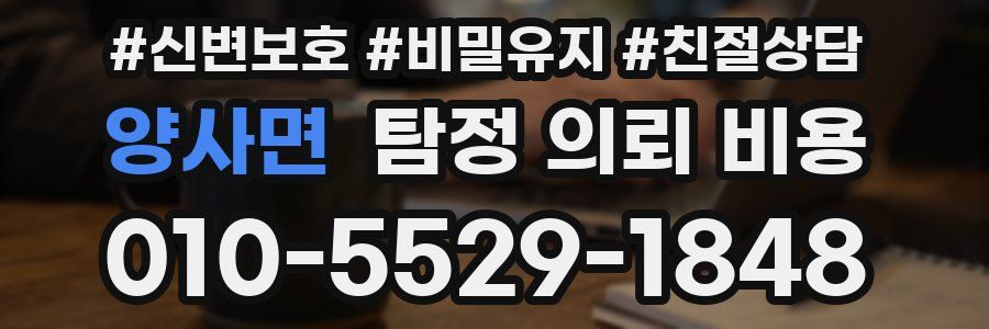 양사면 탐정 의뢰 비용
