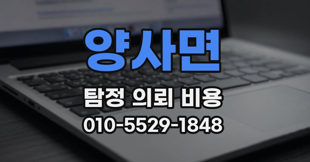 양사면 탐정 의뢰 비용