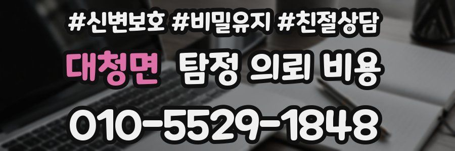 대청면 탐정 의뢰 비용