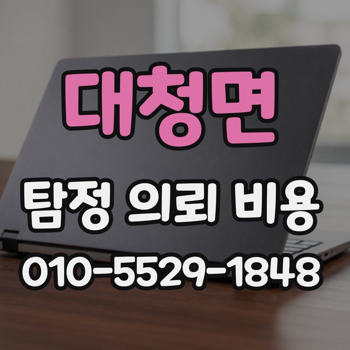 대청면 탐정 의뢰 비용