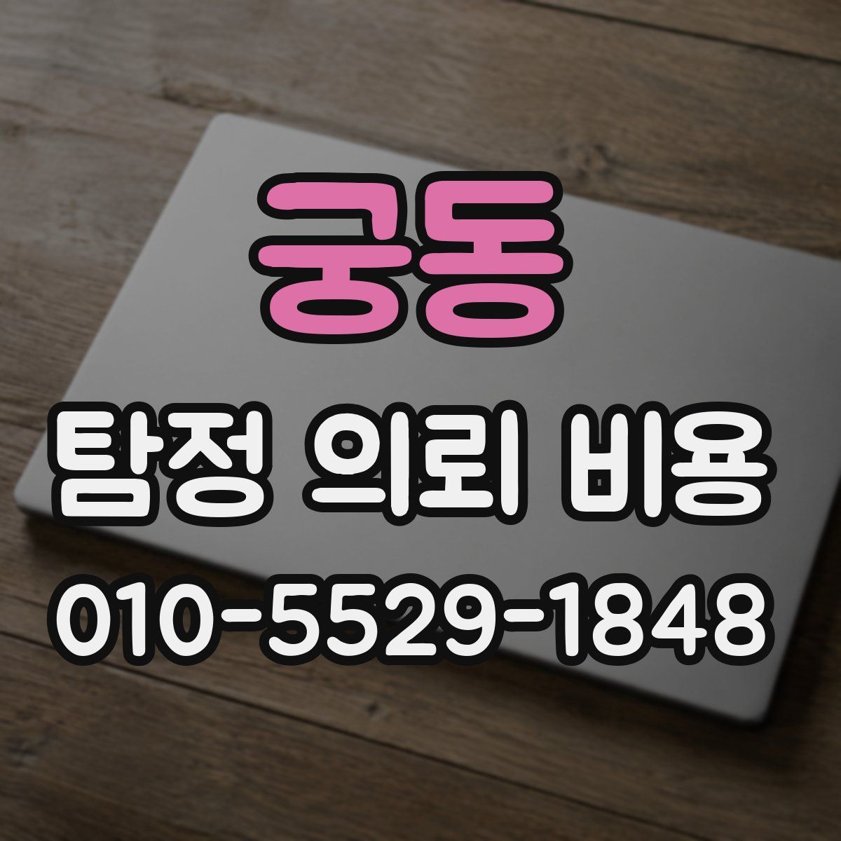 궁동 탐정 의뢰 비용