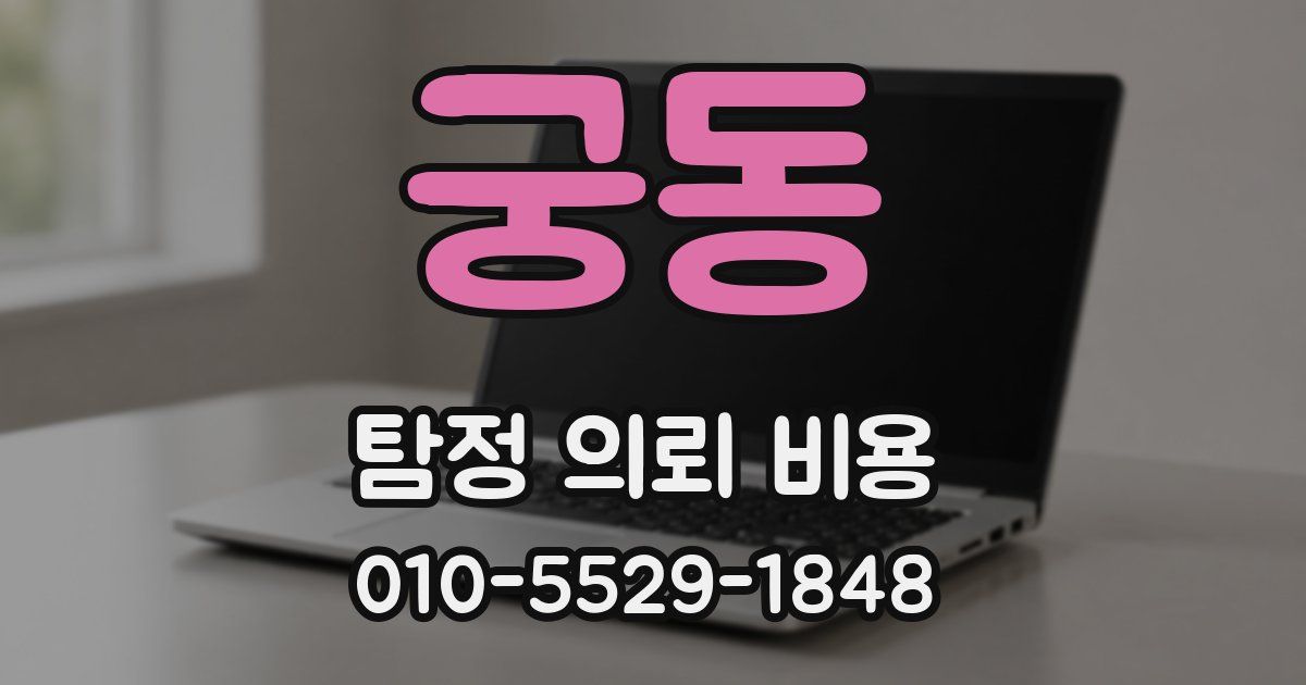 궁동 탐정 의뢰 비용