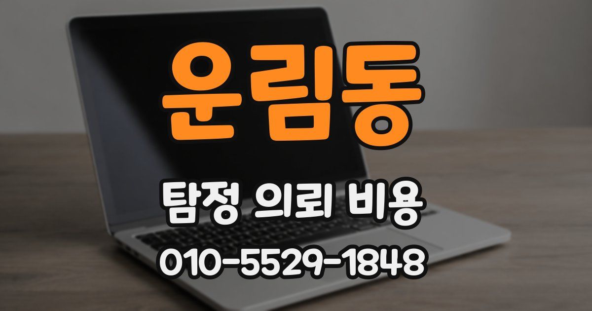 운림동 탐정 의뢰 비용