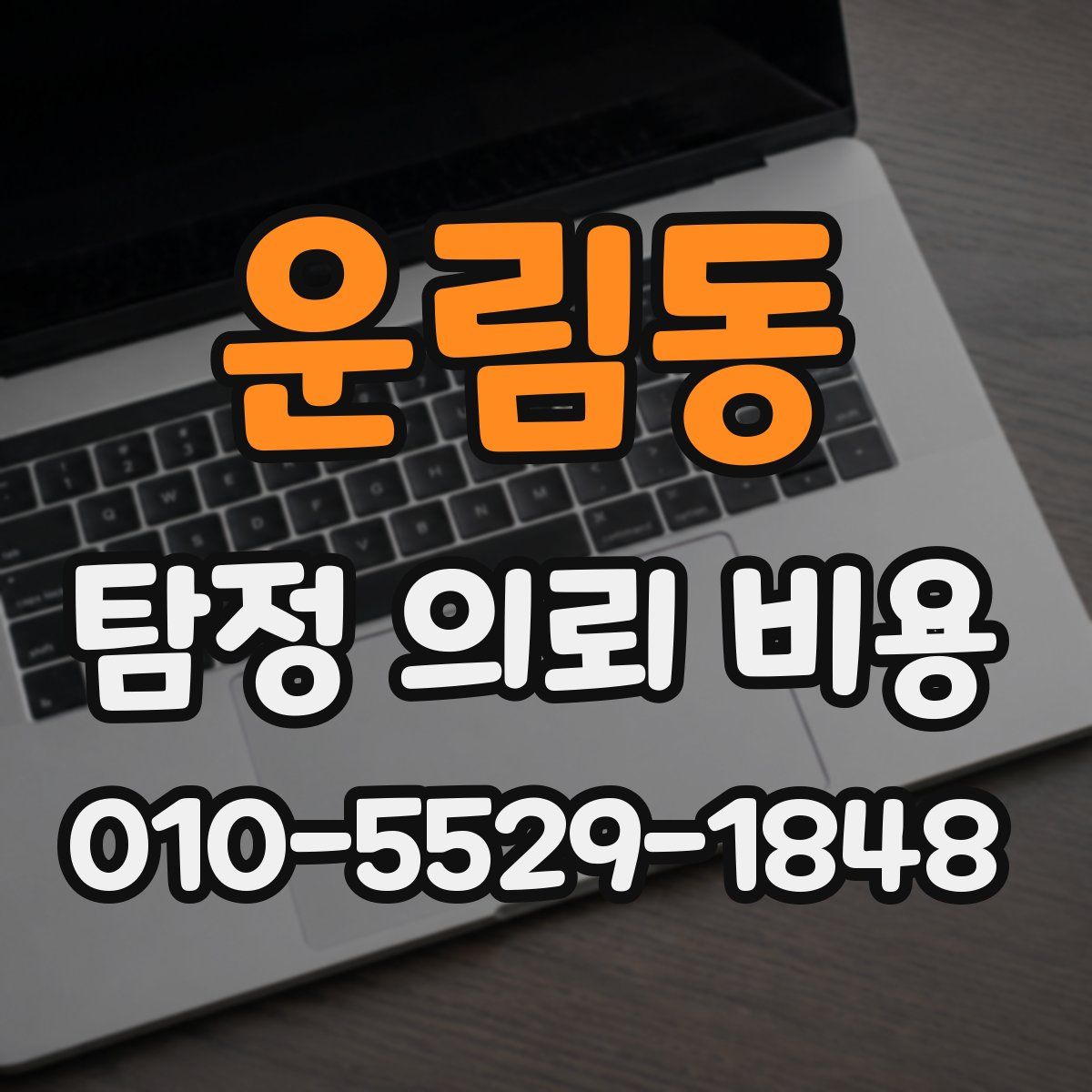 운림동 탐정 의뢰 비용