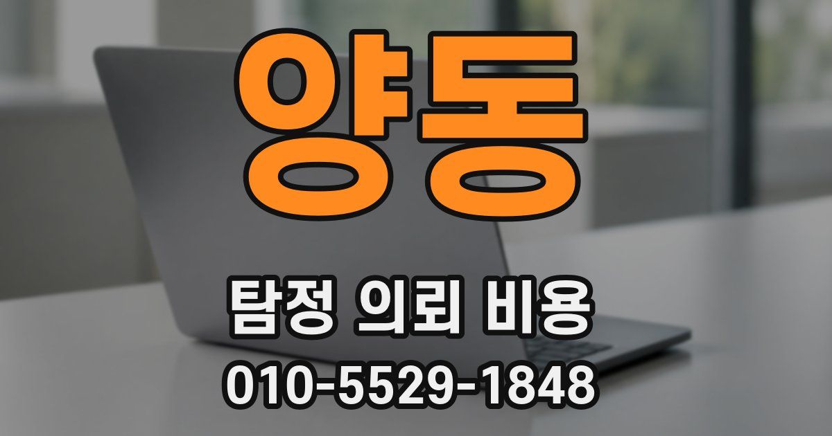 양동 탐정 의뢰 비용