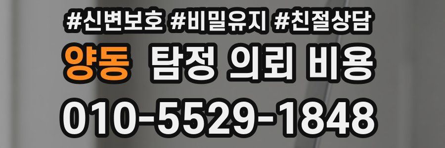 양동 탐정 의뢰 비용