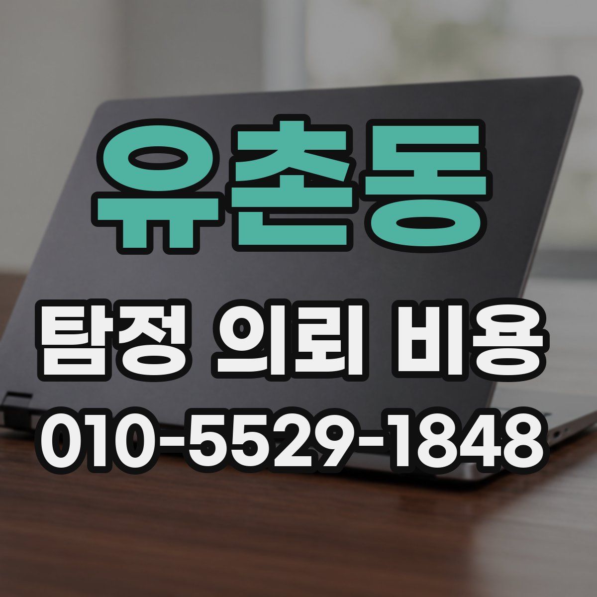 유촌동 탐정 의뢰 비용