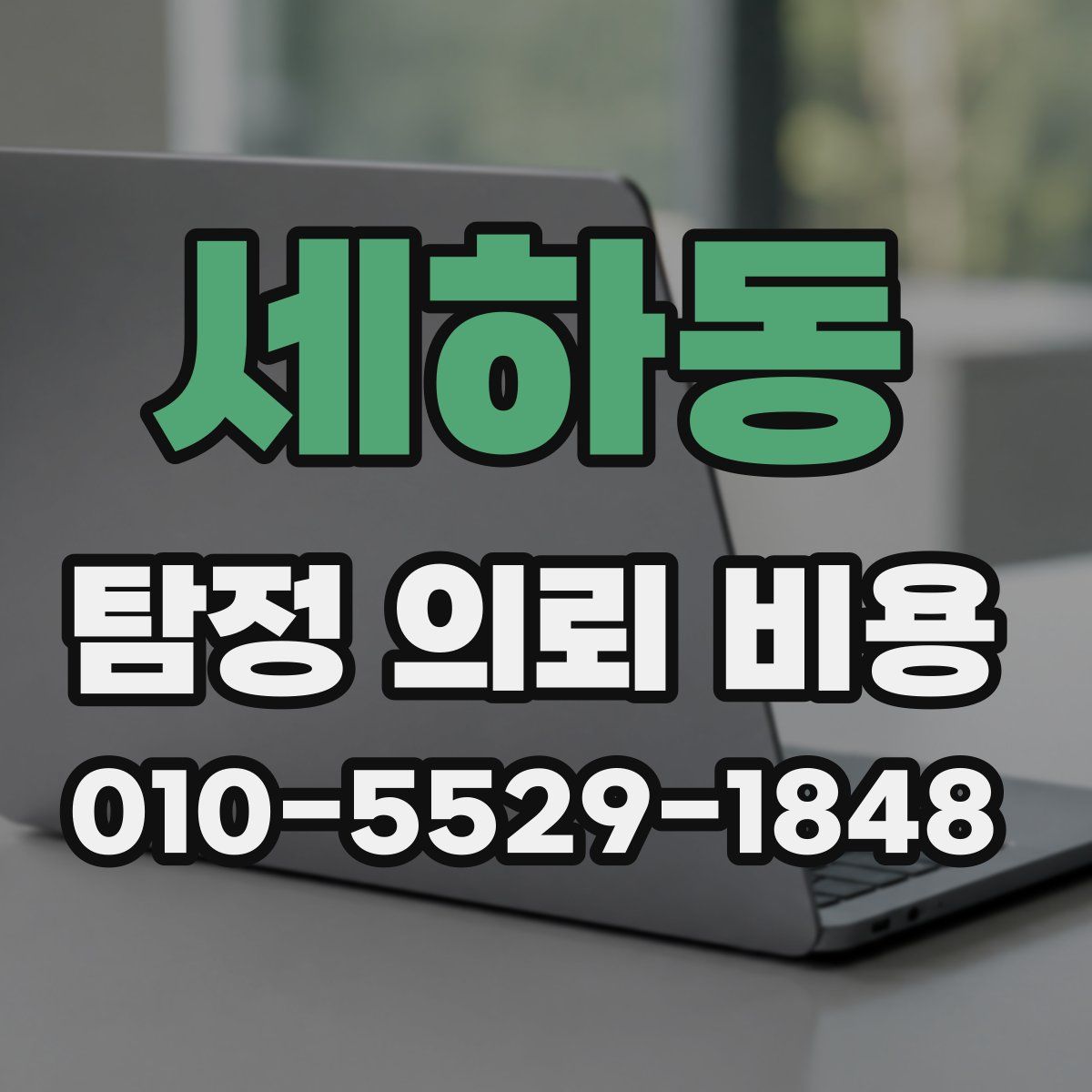 세하동 탐정 의뢰 비용